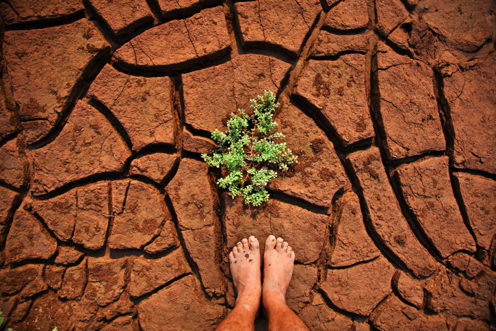 groundingimage.jpg