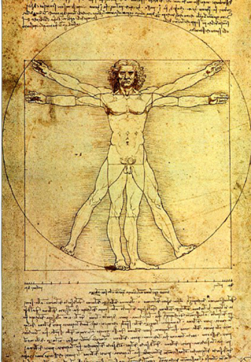 vitruvian