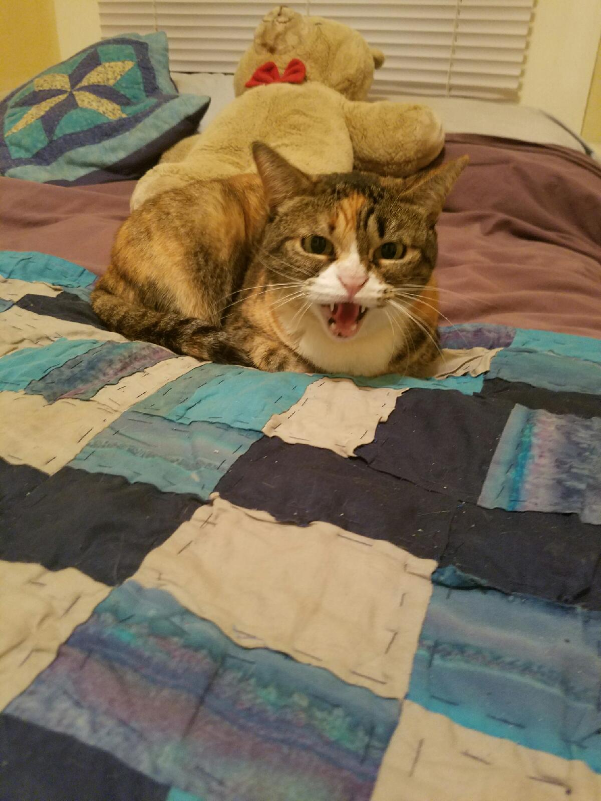 marigoldhiss