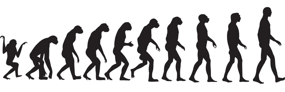 human-evolution-vector-74195