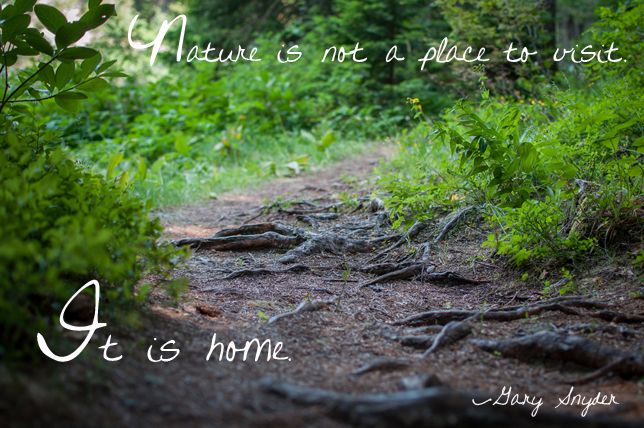 naturequote.jpg