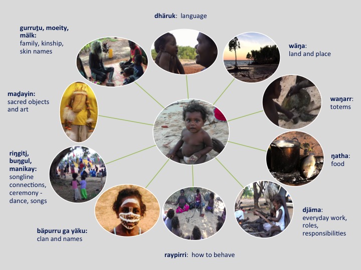 Connections surrounding the child image 11June191