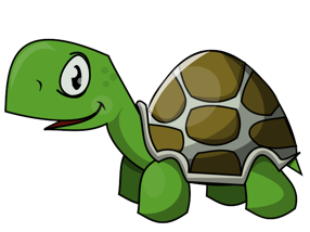 turtle