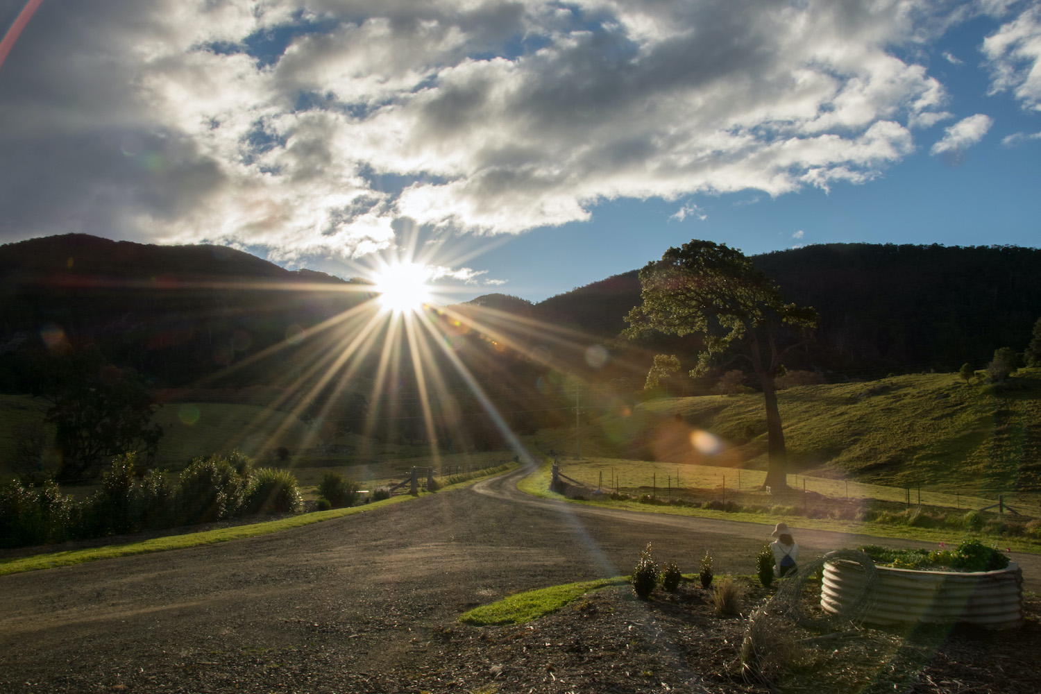 In the Presence of Gulaga-2