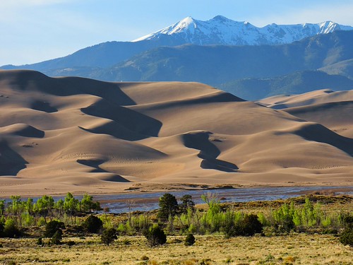 Springtime Cottonwoods, Dunes, and Medano Creek | NPS ...